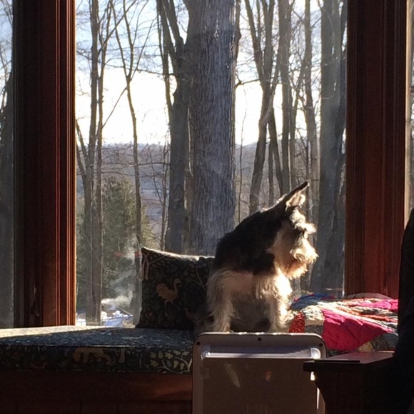 Meet your Posher, Aimee - Picture 8 of 9